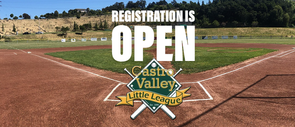 Step Up to the Plate - Register Now!