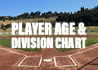 Division Overview & Season FAQs